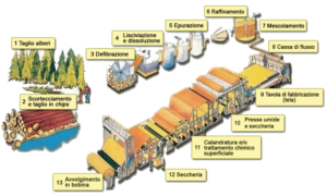 fasi di produzione della carta