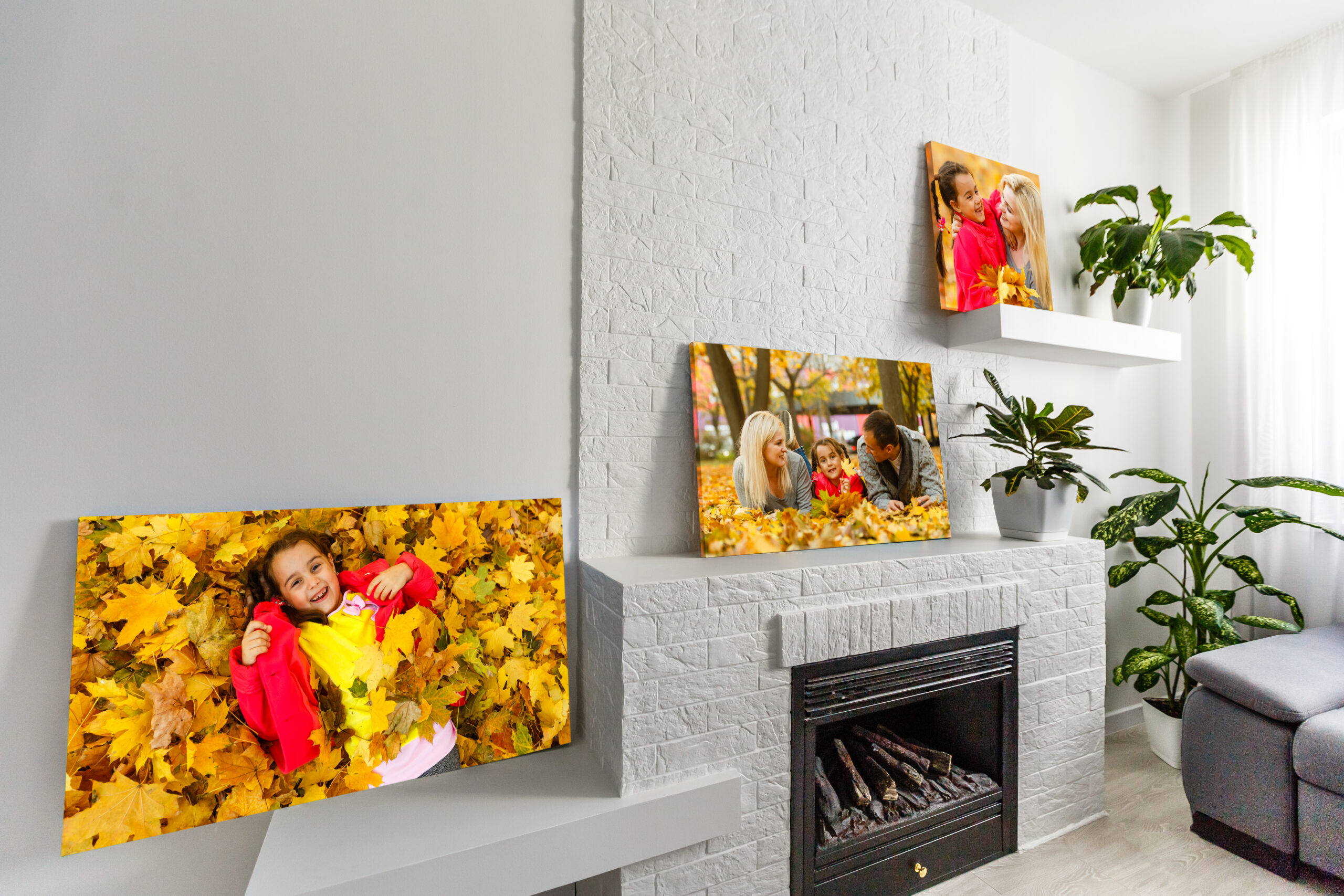 Canvas fine art Canvas fine art